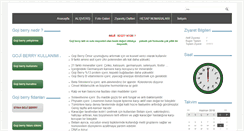 Desktop Screenshot of gojiberrybahcesi.com